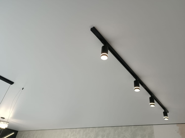 Потолок с треками